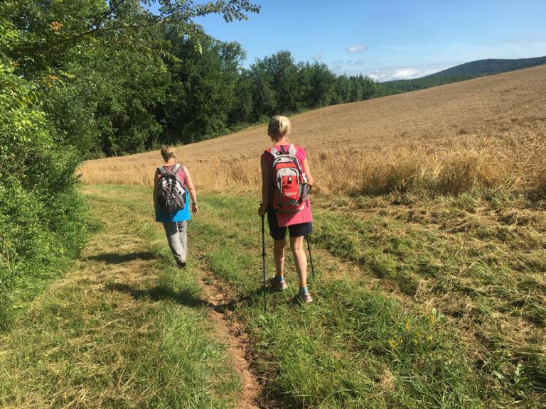 Wandelcoach - stilte wandeling