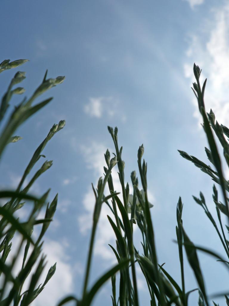 In Balance - een unieke aanpak voor dictiecoaching